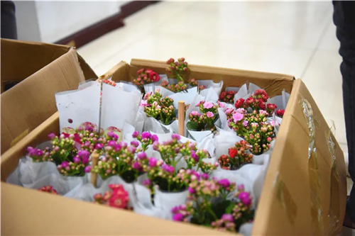 143151183.png 1588832197(1).png